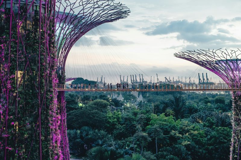 Dia Mundial do Meio Ambiente: inspirações para incorporar práticas ESG nas viagens corporativas