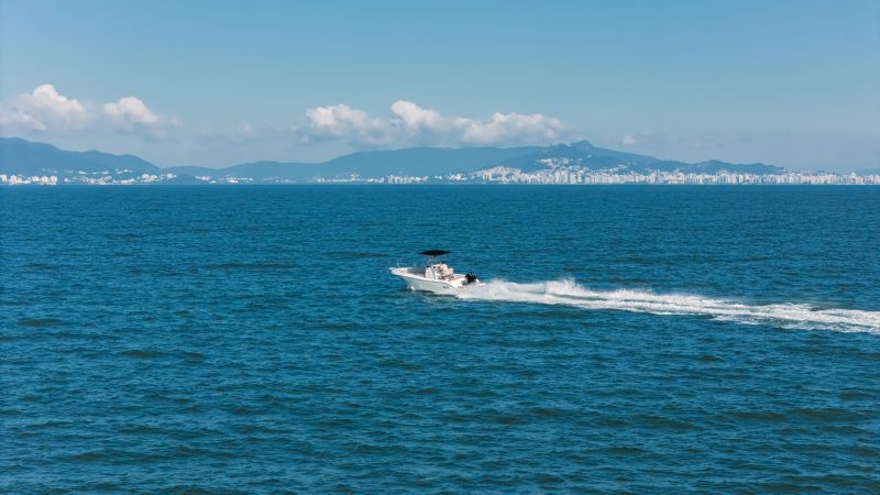 Pesca esportiva impulsiona turismo e indústria náutica no mundo, e Brasil tem potencial para ser a "bola da vez"