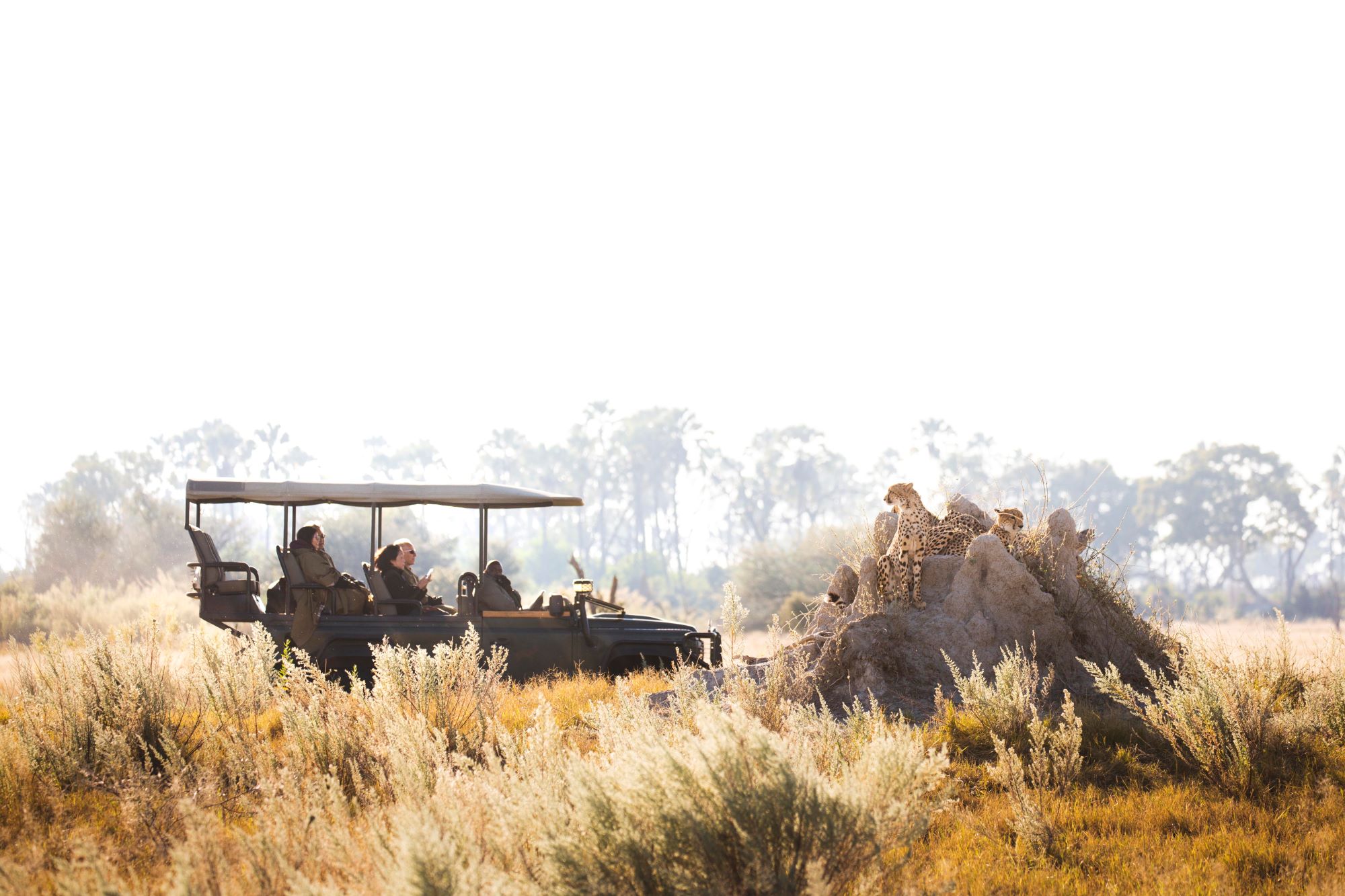 Chitabe Lediba Camp Wilderness
